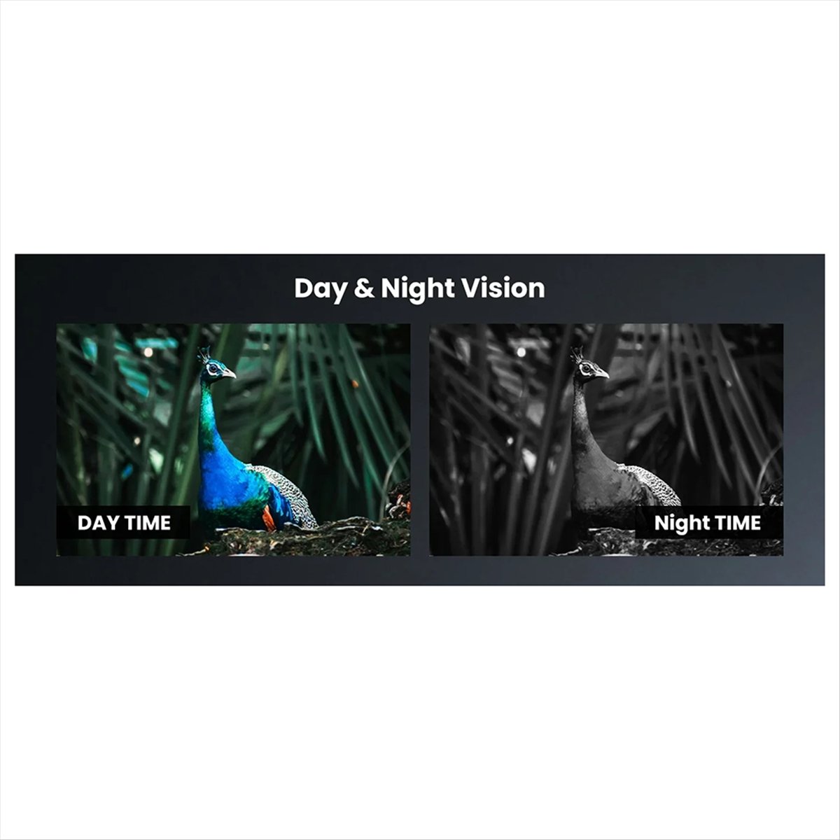 Night Vision Scope For Crossbow - Y60A กล้องมองกลางคืนรุ่นใหม่สำหรับหน้าไม้ พร้อมไฟอินฟราเรด IR850 สำหรับการล่าสัตว์ กล้องมองกลางคืนแบบตาเดียวพร้อมการ์ดหน่วยความจำ