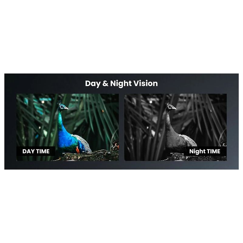 กล้องส่องกลางคืน T22C สำหรับหน - Night Vision Scope For Crossbow บทวิจารณ์และราคา